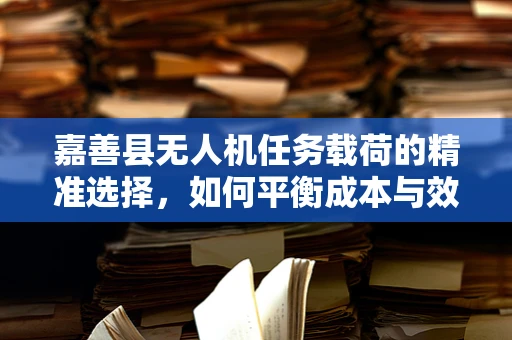 嘉善县无人机任务载荷的精准选择，如何平衡成本与效能？