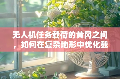 无人机任务载荷的黄冈之问，如何在复杂地形中优化载荷配置？