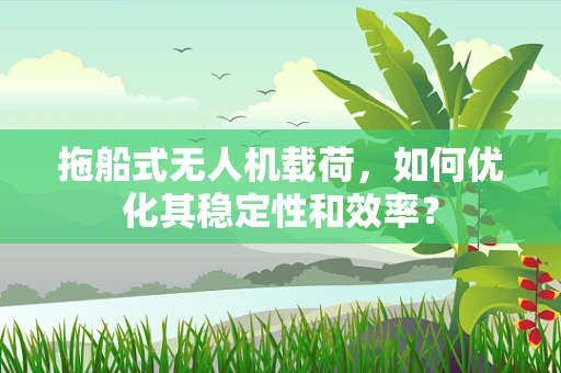 拖船式无人机载荷，如何优化其稳定性和效率？