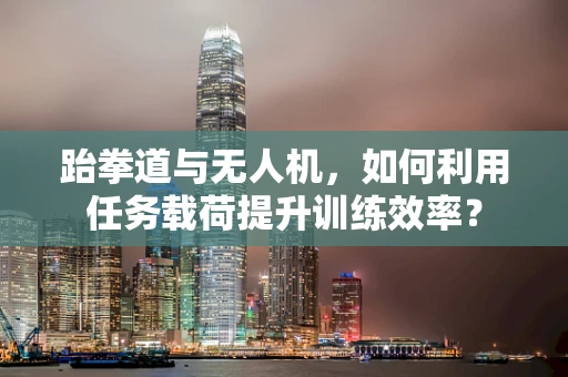跆拳道与无人机，如何利用任务载荷提升训练效率？