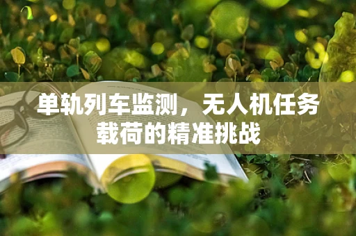 单轨列车监测，无人机任务载荷的精准挑战