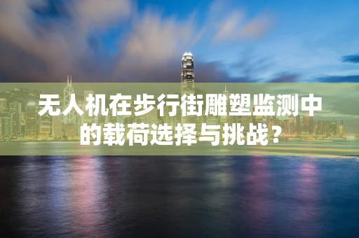 无人机在步行街雕塑监测中的载荷选择与挑战？