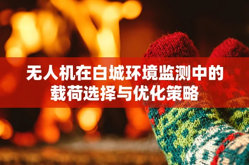 无人机在白城环境监测中的载荷选择与优化策略