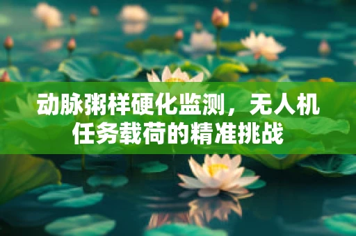 动脉粥样硬化监测，无人机任务载荷的精准挑战