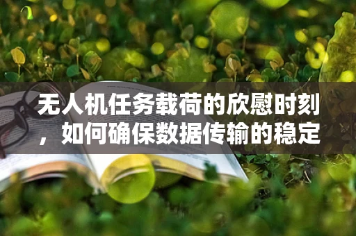 无人机任务载荷的欣慰时刻，如何确保数据传输的稳定与安全？