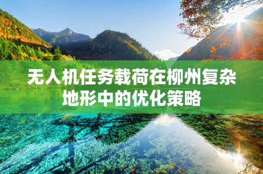 无人机任务载荷在柳州复杂地形中的优化策略