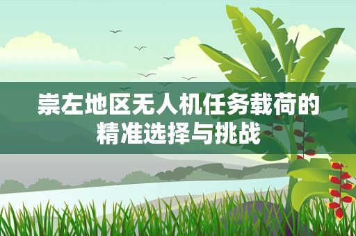 崇左地区无人机任务载荷的精准选择与挑战