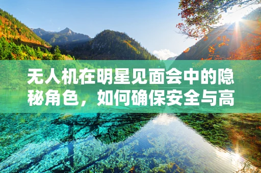 无人机在明星见面会中的隐秘角色，如何确保安全与高效？