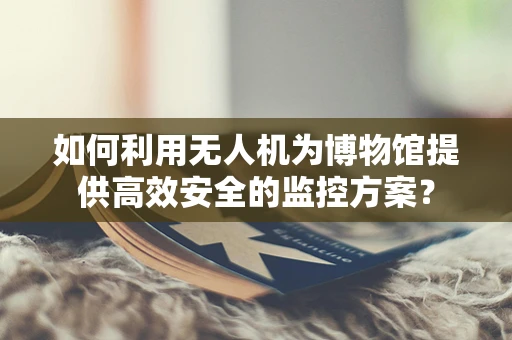 如何利用无人机为博物馆提供高效安全的监控方案？