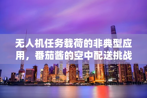 无人机任务载荷的非典型应用，番茄酱的空中配送挑战