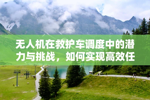 无人机在救护车调度中的潜力与挑战，如何实现高效任务载荷？
