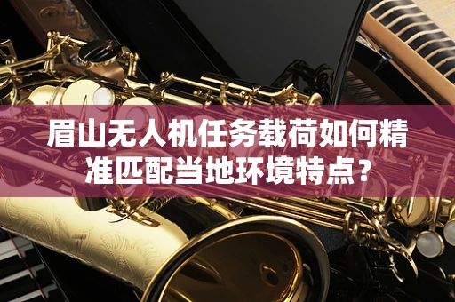 眉山无人机任务载荷如何精准匹配当地环境特点？