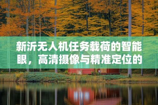 新沂无人机任务载荷的智能眼，高清摄像与精准定位的融合挑战