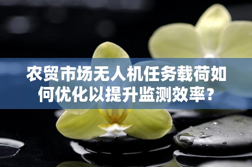 农贸市场无人机任务载荷如何优化以提升监测效率？