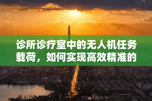 诊所诊疗室中的无人机任务载荷，如何实现高效精准的医疗物资配送？