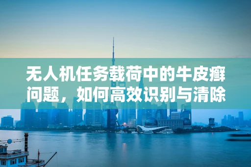 无人机任务载荷中的牛皮癣问题，如何高效识别与清除？