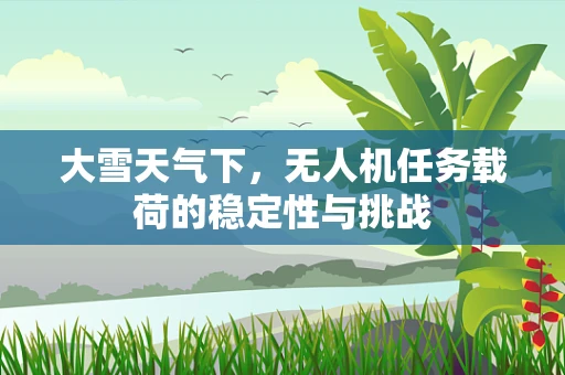 大雪天气下，无人机任务载荷的稳定性与挑战