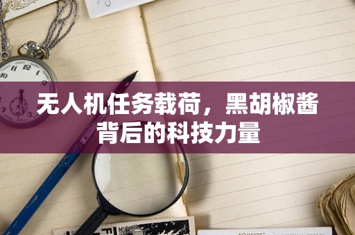 无人机任务载荷，黑胡椒酱背后的科技力量