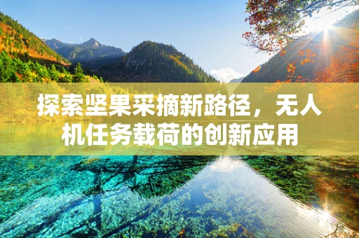 探索坚果采摘新路径，无人机任务载荷的创新应用