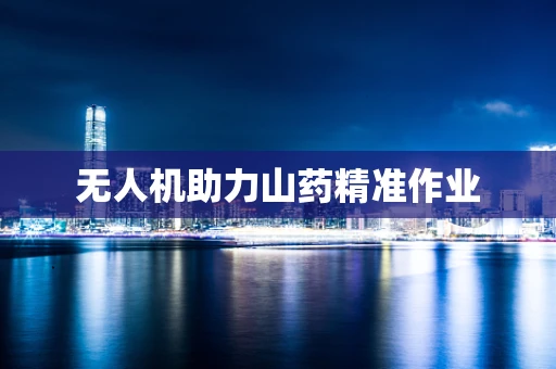 无人机助力山药精准作业
