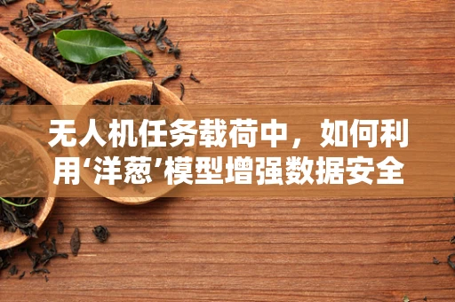 无人机任务载荷中，如何利用‘洋葱’模型增强数据安全？