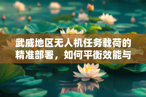 武威地区无人机任务载荷的精准部署，如何平衡效能与安全？