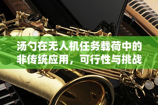 汤勺在无人机任务载荷中的非传统应用，可行性与挑战