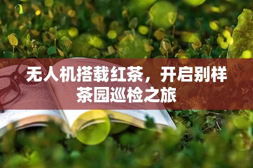 无人机搭载红茶，开启别样茶园巡检之旅
