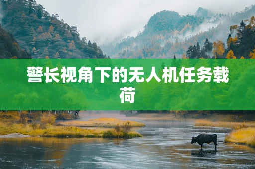 警长视角下的无人机任务载荷