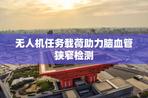 无人机任务载荷助力脑血管狭窄检测