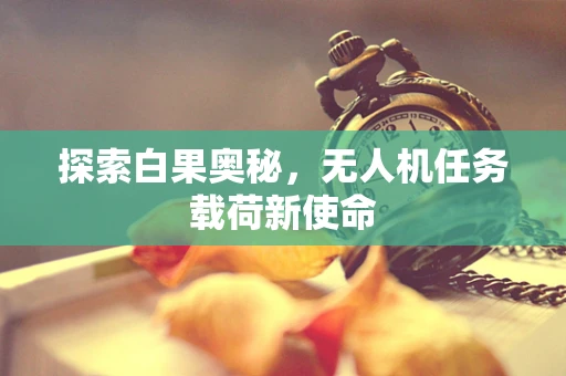 探索白果奥秘，无人机任务载荷新使命