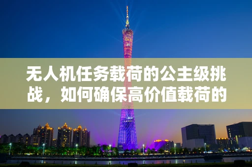 无人机任务载荷的公主级挑战，如何确保高价值载荷的安全传输？