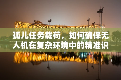 孤儿任务载荷，如何确保无人机在复杂环境中的精准识别与追踪？