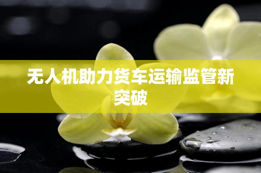 无人机助力货车运输监管新突破