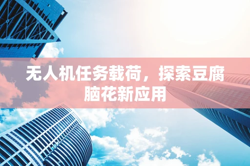 无人机任务载荷，探索豆腐脑花新应用