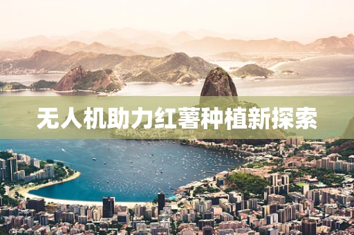 无人机助力红薯种植新探索