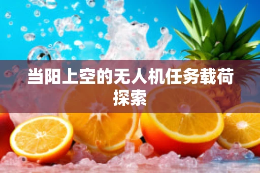 当阳上空的无人机任务载荷探索