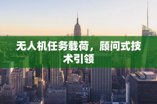无人机任务载荷，顾问式技术引领