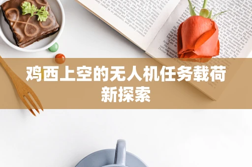 鸡西上空的无人机任务载荷新探索