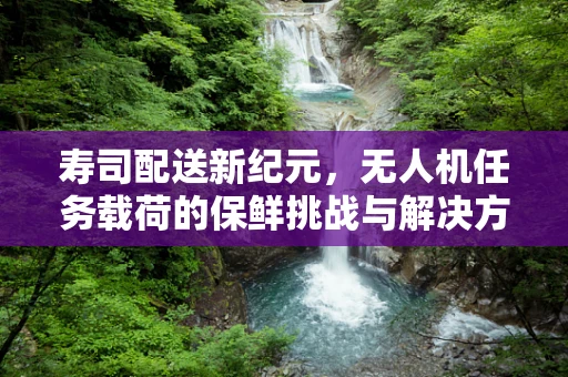 寿司配送新纪元，无人机任务载荷的保鲜挑战与解决方案