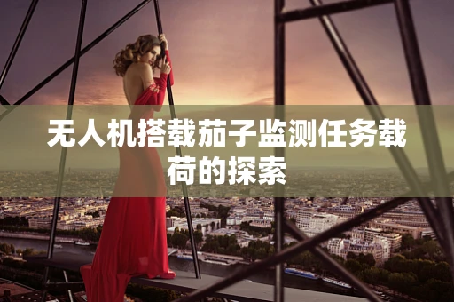 无人机搭载茄子监测任务载荷的探索