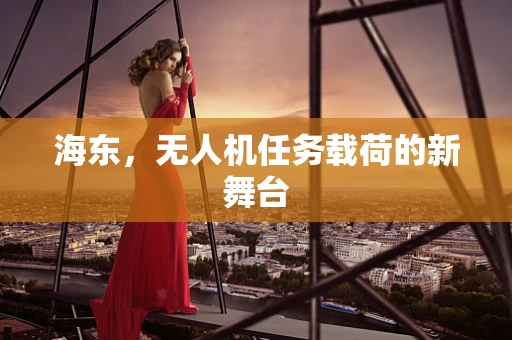 海东，无人机任务载荷的新舞台