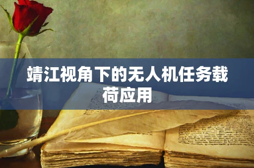 靖江视角下的无人机任务载荷应用