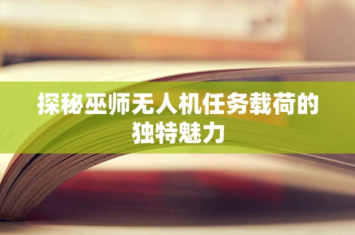 探秘巫师无人机任务载荷的独特魅力