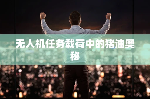 无人机任务载荷中的猪油奥秘