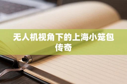 无人机视角下的上海小笼包传奇