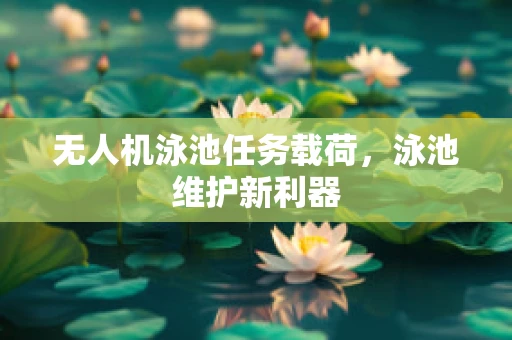 无人机泳池任务载荷，泳池维护新利器