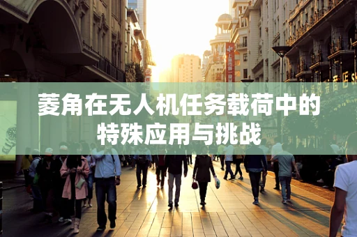 菱角在无人机任务载荷中的特殊应用与挑战