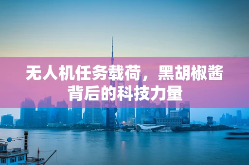 无人机任务载荷，黑胡椒酱背后的科技力量