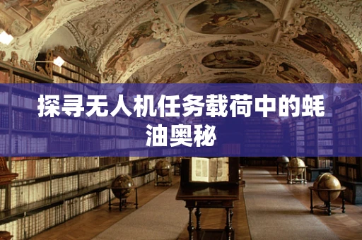 探寻无人机任务载荷中的蚝油奥秘